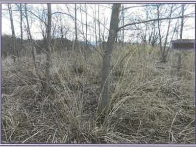 山梨県北杜市 清里駅19分 戸建て 1,289万円の競売物件情報 #17