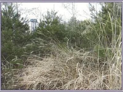 山梨県北杜市 清里駅19分 戸建て 1,289万円の競売物件情報 #18