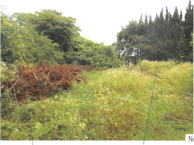 岐阜県岐阜市 蘇原駅 土地 139万円の競売物件情報 #16