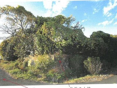 岐阜県岐阜市 蘇原駅 土地 139万円の競売物件情報 #6