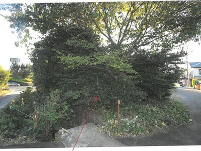 岐阜県岐阜市 蘇原駅 土地 139万円の競売物件情報 #8