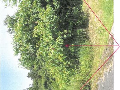 岐阜県岐阜市 織部駅 土地 354万円の競売物件情報 #2