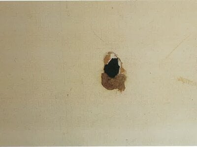 岐阜県多治見市 小泉駅 戸建て 425万円の競売物件情報 #10