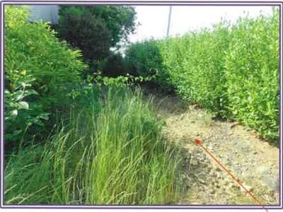 静岡県榛原郡吉田町 六合駅 戸建て 625万円の競売物件情報 #10