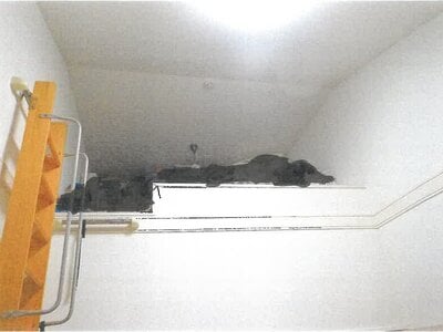 京都府京都市伏見区 西向日駅26分 戸建て 1,219万円の競売物件情報 #9