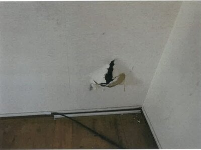 鹿児島県鹿屋市 戸建て 575万円の競売物件情報 #20