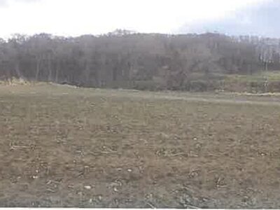 北海道檜山郡厚沢部町 農地 68万円の競売物件情報 #3