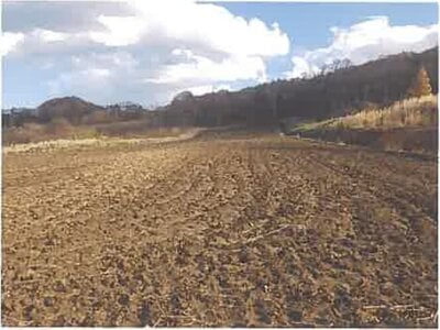 北海道檜山郡厚沢部町 農地 68万円の競売物件情報 #5