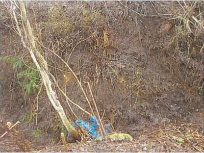 (値下げ) 青森県青森市 筒井駅 土地 52万円の競売物件情報 #3