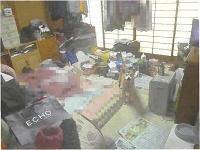 青森県北津軽郡鶴田町 陸奥鶴田駅7分 戸建て 115万円の競売物件情報 #9