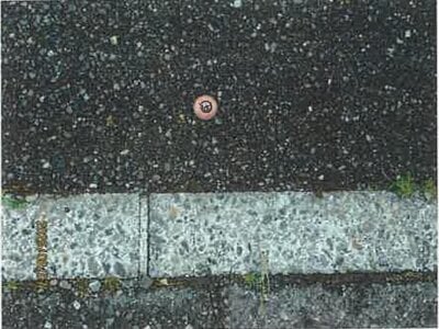 (値下げ) 長野県松本市 松本駅 戸建て 260万円の競売物件情報 #12