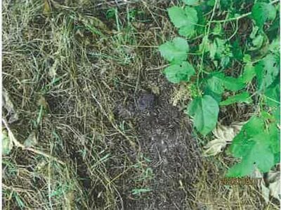 (値下げ) 長野県松本市 松本駅 戸建て 260万円の競売物件情報 #13