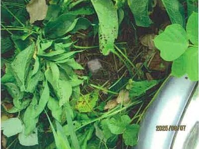 (値下げ) 長野県松本市 松本駅 戸建て 260万円の競売物件情報 #14