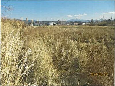 静岡県沼津市 片浜駅8分 農地 49万円の競売物件情報 #2