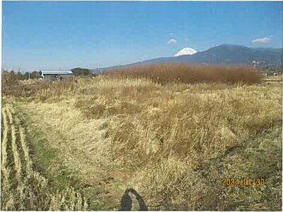 静岡県沼津市 片浜駅8分 農地 49万円の競売物件情報 #5