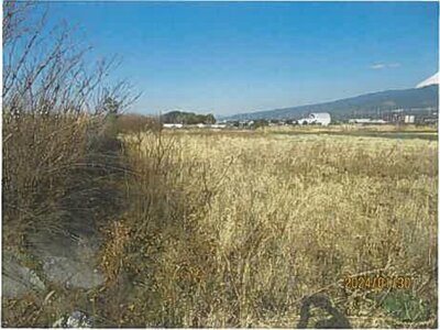 静岡県沼津市 片浜駅9分 農地 88万円の競売物件情報 #8