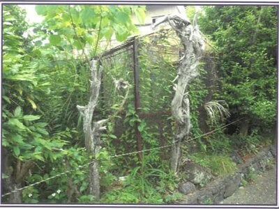 静岡県富士市 岳南原田駅 戸建て 802万円の競売物件情報 #7