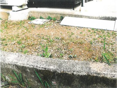 京都府舞鶴市 真倉駅28分 土地 128万円の競売物件情報 #3