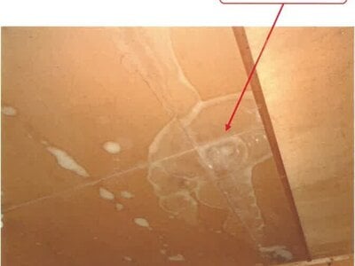 徳島県美馬郡つるぎ町 阿波半田駅 戸建て 90万円の競売物件情報 #11