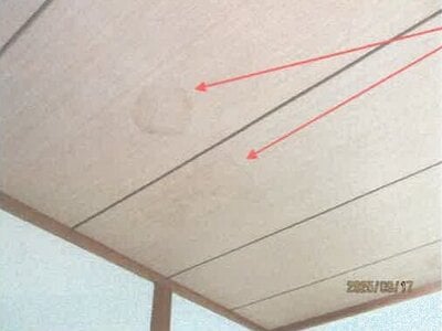 徳島県板野郡北島町 吉成駅 戸建て 441万円の競売物件情報 #11