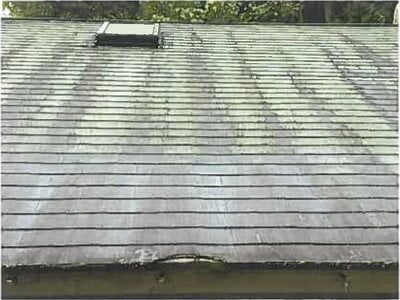 大分県由布市 由布院駅13分 戸建て 1,105万円の競売物件情報 #19