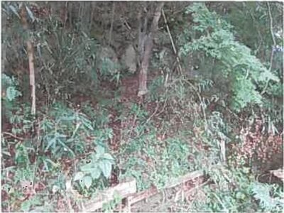 大分県由布市 由布院駅13分 戸建て 1,105万円の競売物件情報 #8