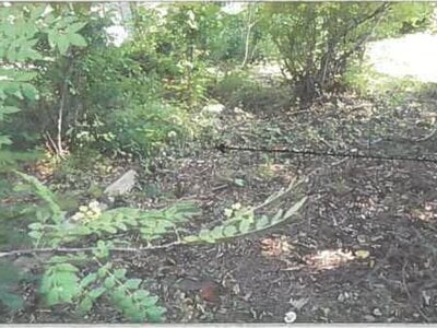 秋田県由利本荘市 矢島駅2分 戸建て 386万円の競売物件情報 #25