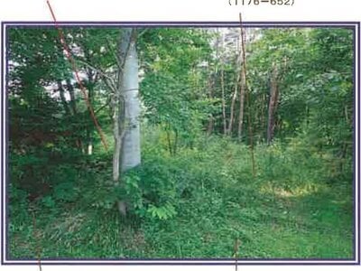 山梨県北杜市 甲斐小泉駅21分 土地 132万円の競売物件情報 #11