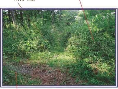 山梨県北杜市 甲斐小泉駅21分 土地 132万円の競売物件情報 #12