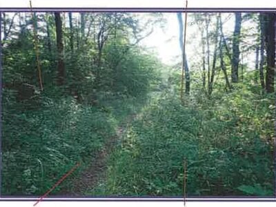 山梨県北杜市 甲斐小泉駅21分 土地 132万円の競売物件情報 #13