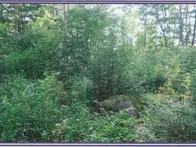 山梨県北杜市 甲斐小泉駅21分 土地 132万円の競売物件情報 #3