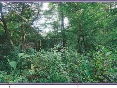 山梨県北杜市 甲斐小泉駅21分 土地 132万円の競売物件情報 #8