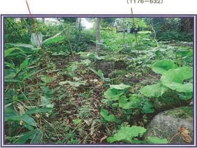 山梨県北杜市 甲斐小泉駅21分 土地 132万円の競売物件情報 #9