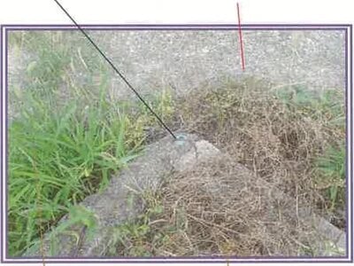 山梨県甲斐市 竜王駅15分 戸建て 566万円の競売物件情報 #29