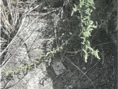 (値下げ) 香川県善通寺市 善通寺駅12分 土地 160万円の競売物件情報 #9