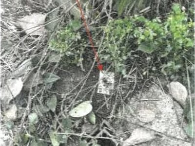 (値下げ) 香川県善通寺市 善通寺駅13分 土地 111万円の競売物件情報 #2