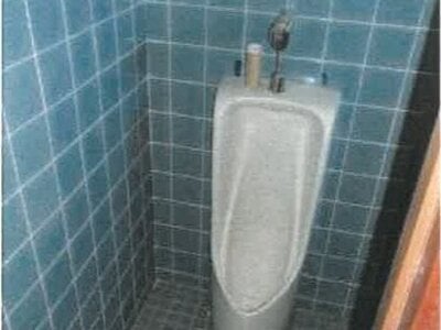 香川県丸亀市 岡田駅19分 戸建て 96万円の競売物件情報 #19