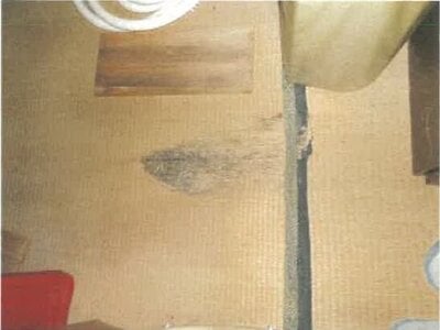 香川県高松市 水田駅4分 戸建て 237万円の競売物件情報 #12