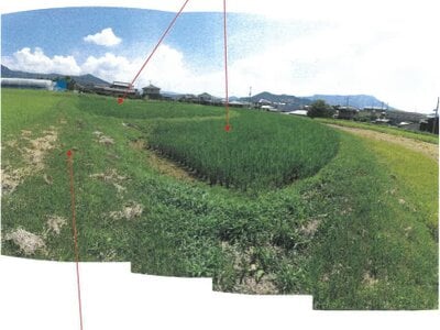 香川県丸亀市 岡田駅17分 農地 65万円の競売物件情報 #2