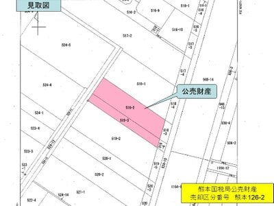 (値下げ) 鹿児島県霧島市 国分駅 農地 105万円の国税庁公売物件情報 #4