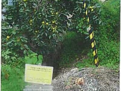 (値下げ) 兵庫県三木市 三木駅16分 土地 394万円の競売物件情報 #5