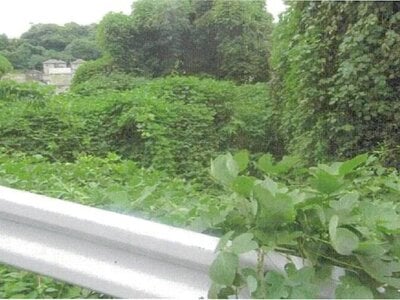 福岡県北九州市若松区 若松駅16分 戸建て 244万円の競売物件情報 #6