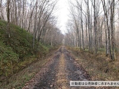 北海道足寄郡陸別町 土地 60万円の国税庁公売物件情報 #2