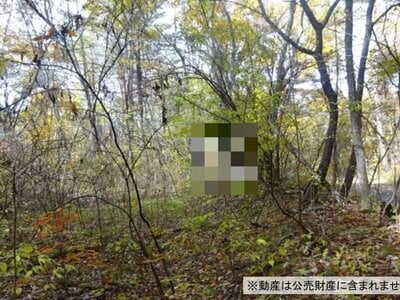 群馬県吾妻郡嬬恋村 大前駅28分 土地 75万円の国税庁公売物件情報 #2