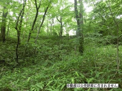 (値下げ) 栃木県那須郡那須町 土地 80万円の国税庁公売物件情報 #2