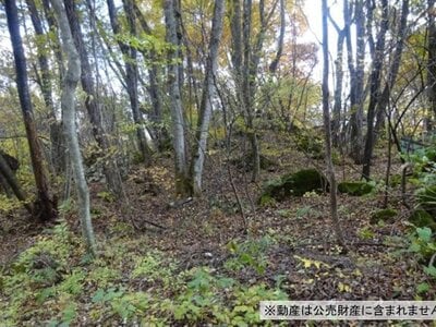 群馬県吾妻郡嬬恋村 大前駅28分 土地 85万円の国税庁公売物件情報 #2