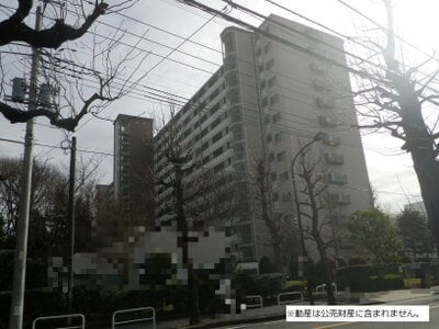 千葉県松戸市 新松戸駅9分 マンション「新松戸南パークハウス」1,230万円の国税庁公売物件情報 #2