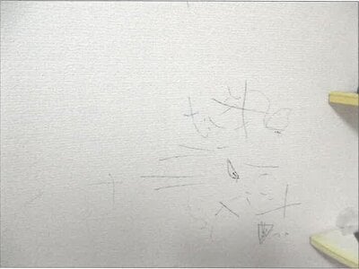 神奈川県海老名市 社家駅16分 戸建て 1,397万円の競売物件情報 #9