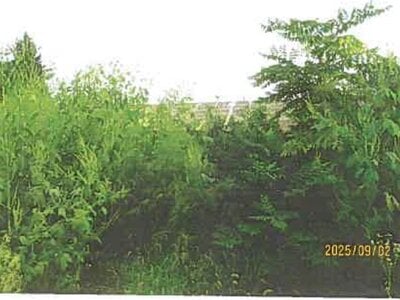 長野県諏訪郡富士見町 富士見駅6分 戸建て 69万円の競売物件情報 #13