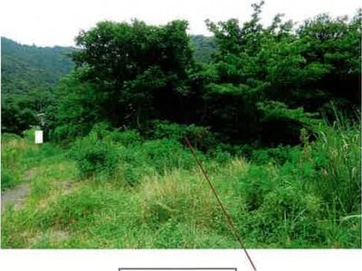 愛知県豊橋市 赤岩口駅 戸建て 411万円の競売物件情報 #10